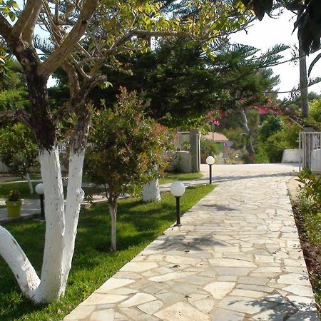 Marianthi Studios Lassi (Kefalonia) Exterior foto